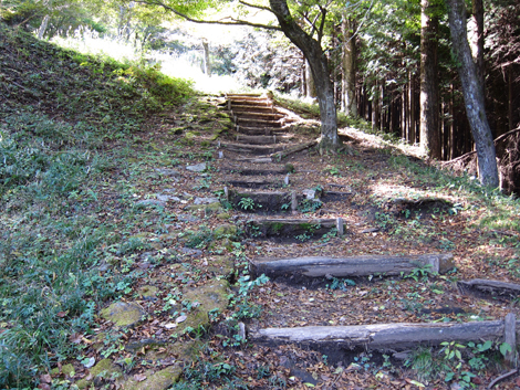 20201105hike (129)